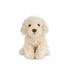 Labradoodle