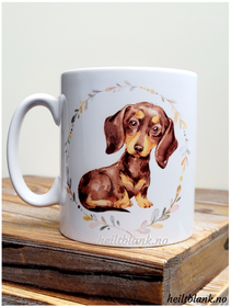 Kopp - Korthåret dachshund - Brun og rød
