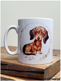 Kopp - Korthåret dachshund - Brun og tan