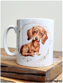 Kopp - Korthåret dachshund - Rød