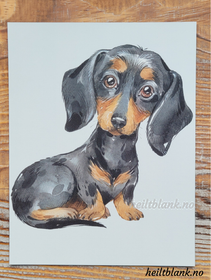 Magnet - Sort og tan dachshund