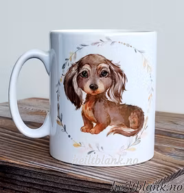 Kopp - Langhåret dachshund - brun og rød