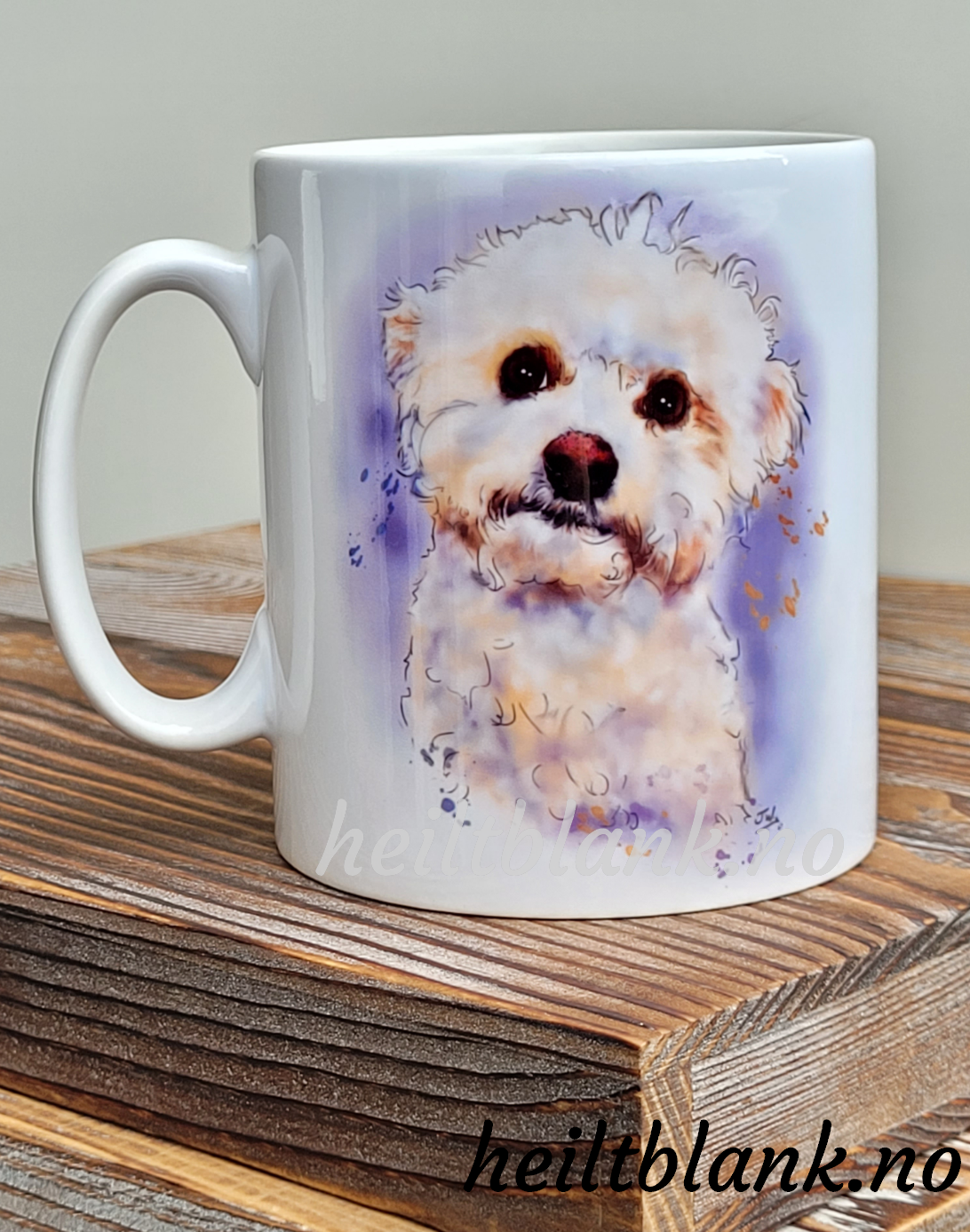 Kopp - Bichon frisé
