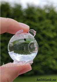 Gris - Glass