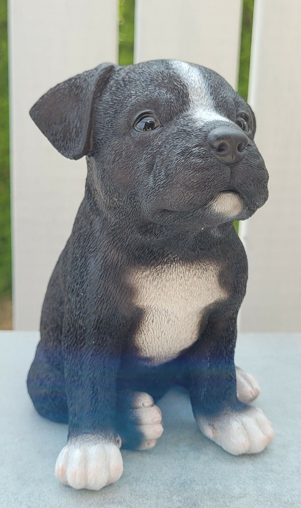 Staffordshire bull terrier valp