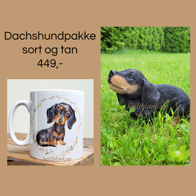 Dachshund gavepakke - sort og tan