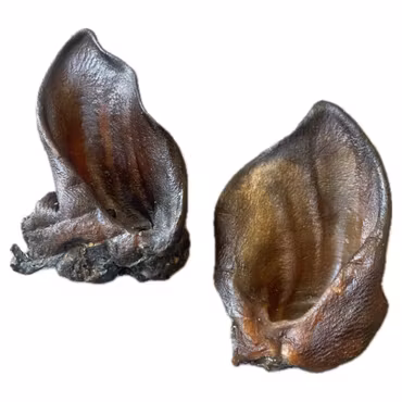 Hundgodis - Vildsvinsöra utan borst