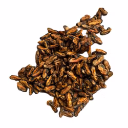 Torkad Fisk - Musslor 1 kg