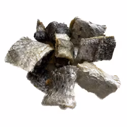 Torkad Fisk - Bitar Av Laxskinn