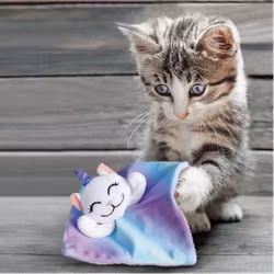 Kong Kattleksak Caticorn