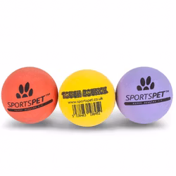 Hundleksak - Sportspet High Bounce Ball