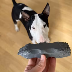 Extremt Tålig - Bulletproof Indestructibone Tuggleksak