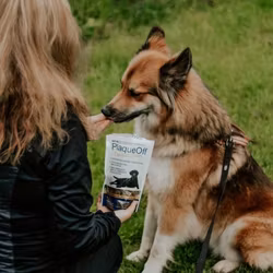ProDen PlaqueOff DentalBites