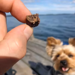 TassaFritt Träningsgodis - Älgbitar