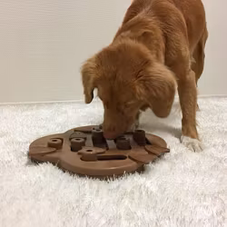 Dog Hide n' Slide Komposit NATUR - Nina Ottosson