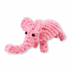 Swaggin Tails Elefanten Elsa