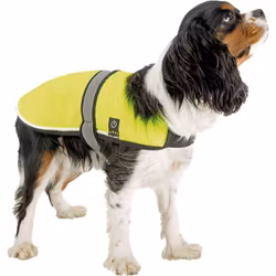 Reflexväst till hund - LED