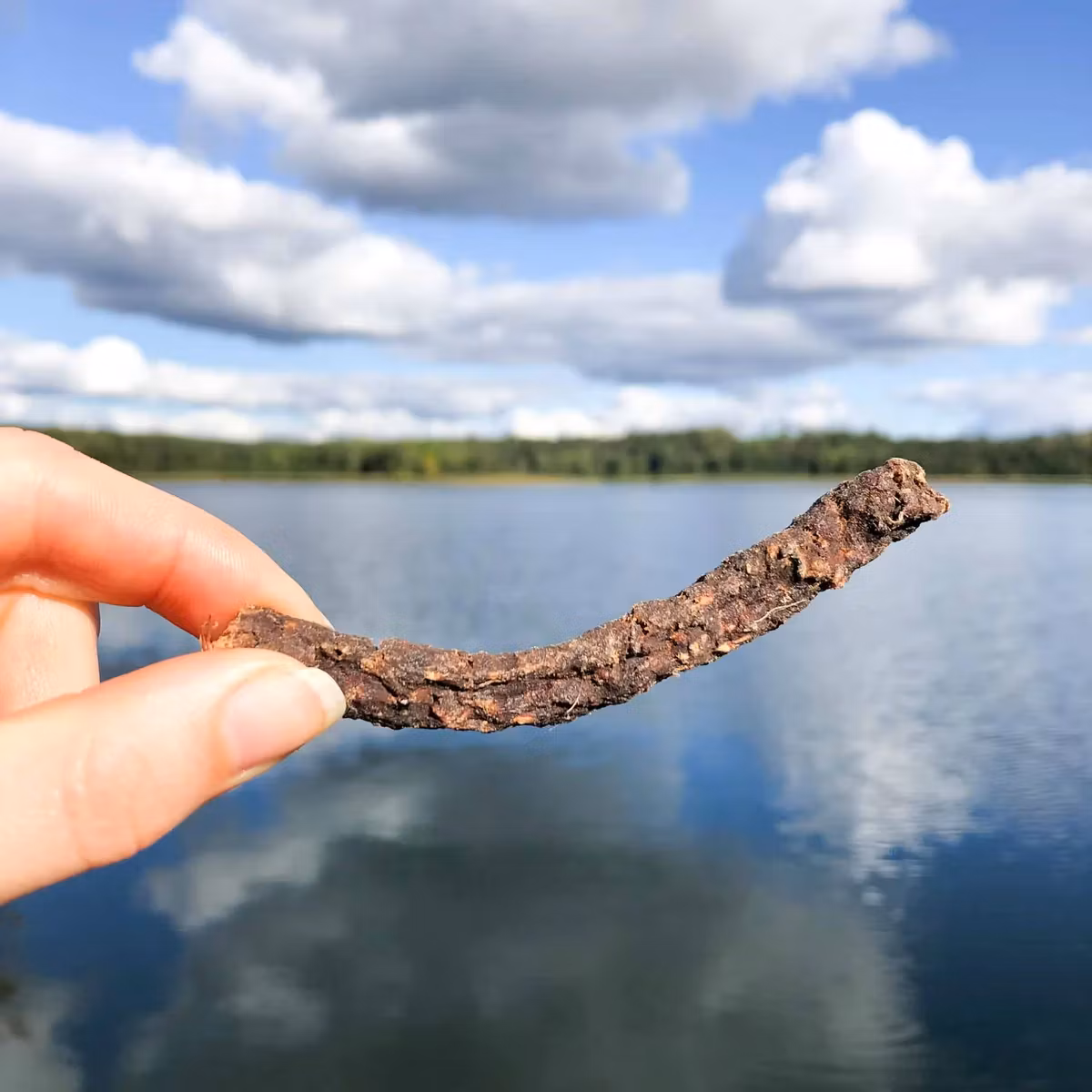 TassaFritt Hundgodis - Älgsticks
