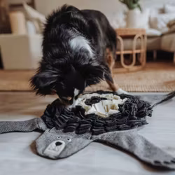 HUNTER Snuffelmatta Billund Björn