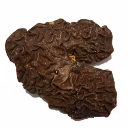 Rent Hundgodis -  Svensk grisnjure