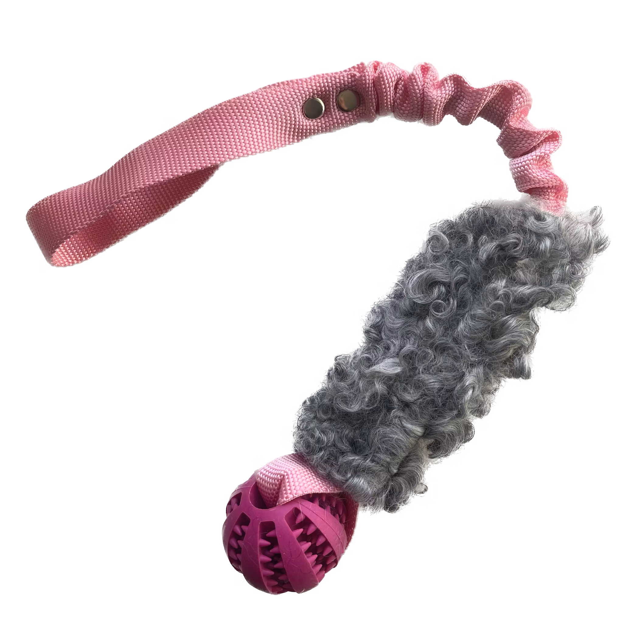 Bistos Träningsleksak Hector - Flera färger