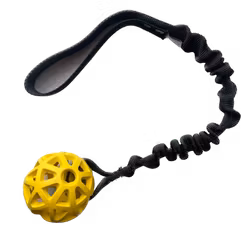 Bistos Träningsleksak Apollo