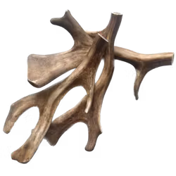 Naturligt Tugg - Hjorthorn L/XL