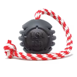 SodaPup Stars & Stripes K9