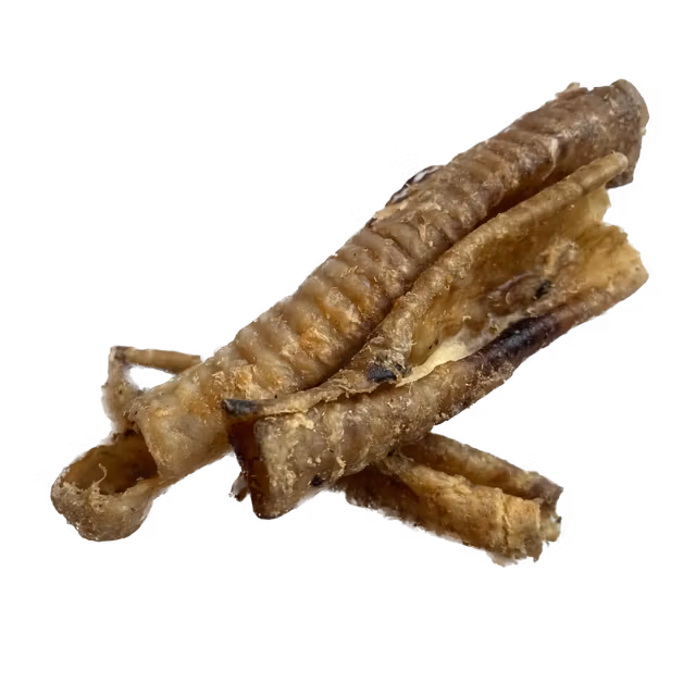 AlgGutten Hjortstrupe