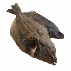 Torkad Fisk - Hel Rödspätta