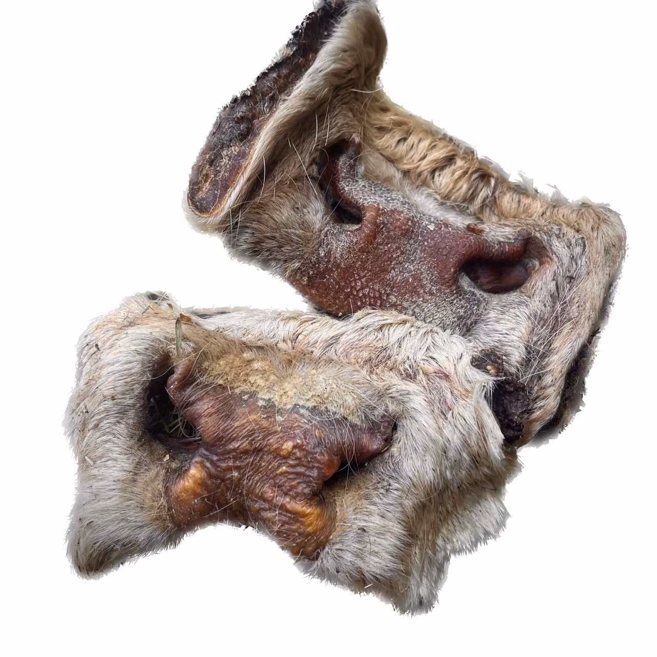 Naturligt Hundgodis - Oxmule