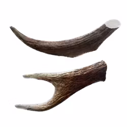 Djurtoppen Naturligt Tugg - Älghorn