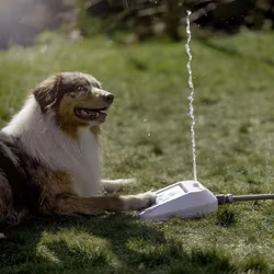 Vattenleksak - Fontän