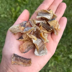 Torkad Torskfilé - Träningsgodis