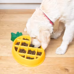 Äta-Sakta-Skål - ZippyPaws Ananas