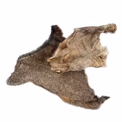 Naturligt Tugg - Torkad Hjorthud