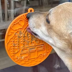 SodaPup Camp Lickmat