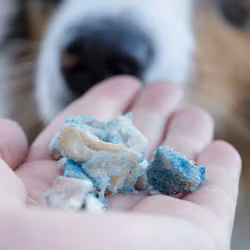 Ultimate Chicken & Blue Spirulina