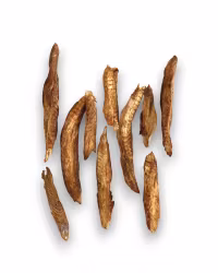 Raw Treats - Makrillfileér