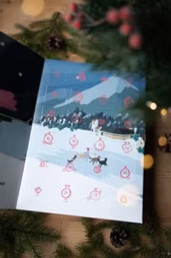 Julkalender till hund eller katt - Frystorkat snacks