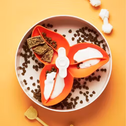 PetDreamHouse - SPIN Bougainvillea