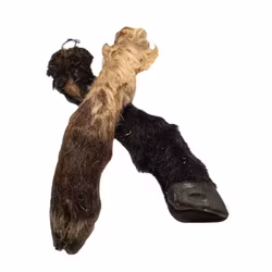 Emmzo - Lammben med päls