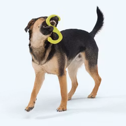 West Paw Bumi - Zogoflex