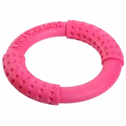 KiwiWalker Let's Play! RING