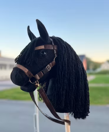 Black Beauty