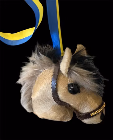 Mini häst  student
