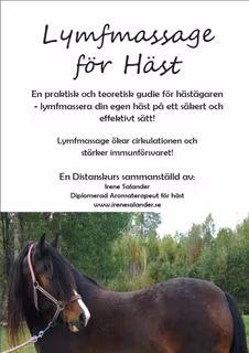 Distanskurs lymfmassage på HÄST