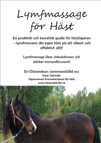 Distanskurs lymfmassage på HÄST