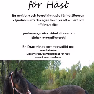 Distanskurs lymfmassage på HÄST - för hemmabruk