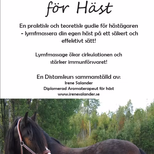 Distanskurs lymfmassage på HÄST
